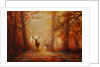 Majesty, 2011 forest deer by Lee Campbell