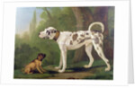 Hound and Terrier by School German