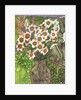 Jonquils at Twilight, 1999 by Lillian Delevoryas