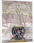 Large Ginger Jar in Snowstorm by Lillian Delevoryas