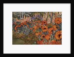 Poppy Border by Lillian Delevoryas
