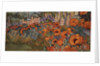 Poppy Border by Lillian Delevoryas