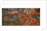 Poppy Border by Lillian Delevoryas