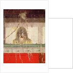 Masked face by Roman Roman