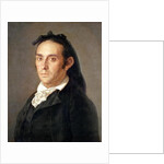 The Matador Pedro Romero by Francisco Jose de Goya y Lucientes