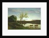 A Pond with three Cows and a Crescent Moon, c.1850 by Jean Baptiste Camille Corot