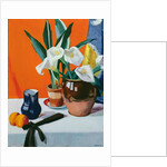 Arum Lilies by Francis Campbell Boileau Cadell