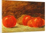 Still Life with Apples by Gustave Courbet