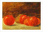 Still Life with Apples by Gustave Courbet
