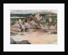 Treshnish Point, North End Iona, c.1934 by Francis Campbell Boileau Cadell