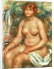 Seated Bather, 1916 by Pierre Auguste Renoir