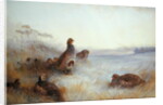 Partridges in Early Morning, 1910 by Archibald Thorburn