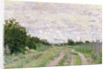 Path through the Vines, Argenteuil, 1872 by Claude Monet