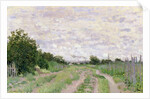 Path through the Vines, Argenteuil, 1872 by Claude Monet