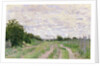 Path through the Vines, Argenteuil, 1872 by Claude Monet
