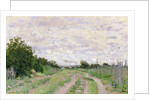 Path through the Vines, Argenteuil, 1872 by Claude Monet
