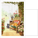 In the Conservatory by Lavinia Hamer