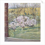 Spring from Our Window, 2005 by Caroline Hervey-Bathurst