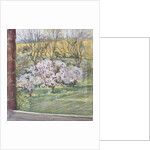 Spring from Our Window, 2005 by Caroline Hervey-Bathurst