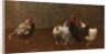 Fowls, 1896 by Horace Mann Livens