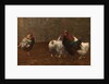 Fowls, 1896 by Horace Mann Livens