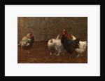 Fowls, 1896 by Horace Mann Livens