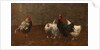 Fowls, 1896 by Horace Mann Livens