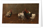 Fowls, 1896 by Horace Mann Livens