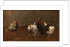 Fowls, 1896 by Horace Mann Livens