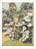 Blossom, c.1900 by Arthur Haythorne Studd