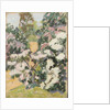 Blossom, c.1900 by Arthur Haythorne Studd