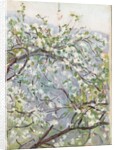 Blossom, c.1900 by Arthur Haythorne Studd