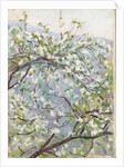 Blossom, c.1900 by Arthur Haythorne Studd