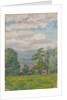 View through meadow and tree with valley beyond by Arthur Haythorne Studd