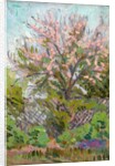 Cherry blossom with trellis fence below by Arthur Haythorne Studd