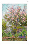 Cherry blossom with trellis fence below by Arthur Haythorne Studd