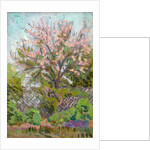 Cherry blossom with trellis fence below by Arthur Haythorne Studd