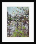 Cherry tree in blossom with pine trees in background by Arthur Haythorne Studd