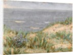 Seaview with Dunes, flowering seagrass, c.1900 by Arthur Haythorne Studd