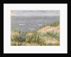 Seaview with Dunes, flowering seagrass, c.1900 by Arthur Haythorne Studd