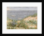 Seaview with Dunes, flowering seagrass, c.1900 by Arthur Haythorne Studd