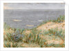 Seaview with Dunes, flowering seagrass, c.1900 by Arthur Haythorne Studd