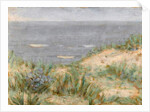 Seaview with Dunes, flowering seagrass, c.1900 by Arthur Haythorne Studd