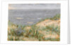 Seaview with Dunes, flowering seagrass, c.1900 by Arthur Haythorne Studd