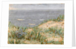 Seaview with Dunes, flowering seagrass, c.1900 by Arthur Haythorne Studd