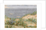 Seaview with Dunes, flowering seagrass, c.1900 by Arthur Haythorne Studd