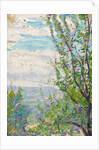 Blue sky and clouds with branches of fruit trees to the fore by Arthur Haythorne Studd