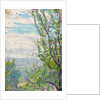 Blue sky and clouds with branches of fruit trees to the fore by Arthur Haythorne Studd