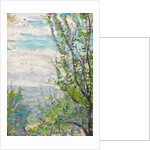 Blue sky and clouds with branches of fruit trees to the fore by Arthur Haythorne Studd