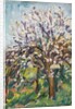 Almond Blossom on a sloping verge, c.1910 by Arthur Haythorne Studd
